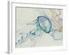 Jeweled Jellies-Rikki Drotar-Framed Giclee Print