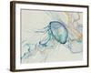 Jeweled Jellies-Rikki Drotar-Framed Giclee Print