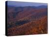 Jewell Hollow, Shenandoah National Park, Virginia, USA-Charles Gurche-Stretched Canvas