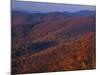Jewell Hollow, Shenandoah National Park, Virginia, USA-Charles Gurche-Mounted Photographic Print