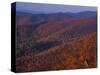 Jewell Hollow, Shenandoah National Park, Virginia, USA-Charles Gurche-Stretched Canvas