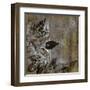 Jewelled Leaves XXI-Hollack-Framed Giclee Print