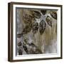 Jewelled Leaves XXIII-Hollack-Framed Giclee Print