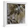 Jewelled Leaves XXIII-Hollack-Framed Giclee Print
