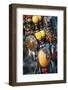 Jewellery at the Flea Market in Jaffa, Tel Aviv, Israel, Middle East-Yadid Levy-Framed Photographic Print