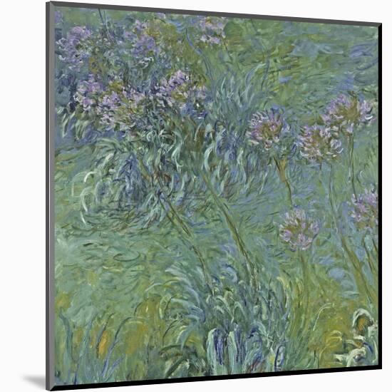 Jewelry Lilies-Claude Monet-Mounted Giclee Print