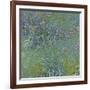 Jewelry lilies-Claude Monet-Framed Art Print