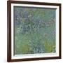 Jewelry lilies-Claude Monet-Framed Art Print