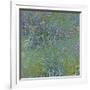 Jewelry lilies-Claude Monet-Framed Art Print
