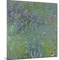 Jewelry lilies-Claude Monet-Mounted Art Print