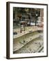 Jewelry Store with Cars Reflected in the Window-null-Framed Photographic Print