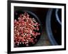 Jewels and Jasmine-Valda Bailey-Framed Photographic Print