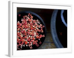 Jewels and Jasmine-Valda Bailey-Framed Photographic Print