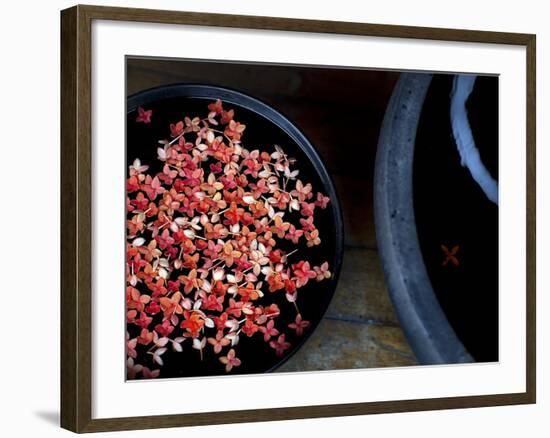 Jewels and Jasmine-Valda Bailey-Framed Photographic Print