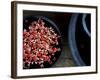 Jewels and Jasmine-Valda Bailey-Framed Photographic Print