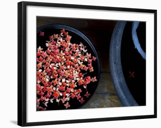 Jewels and Jasmine-Valda Bailey-Framed Photographic Print