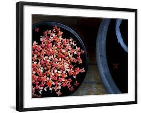 Jewels and Jasmine-Valda Bailey-Framed Photographic Print