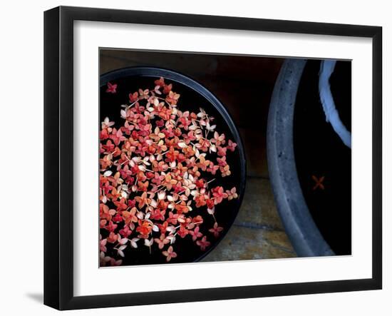 Jewels and Jasmine-Valda Bailey-Framed Premium Photographic Print