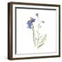 Jewels of Nature I-Sandra Jacobs-Framed Giclee Print