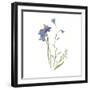 Jewels of Nature I-Sandra Jacobs-Framed Giclee Print