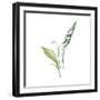 Jewels of Nature II-Sandra Jacobs-Framed Giclee Print