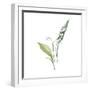 Jewels of Nature II-Sandra Jacobs-Framed Giclee Print