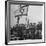 Jewish Immigrants, Arriving in Haifa Aboard Refugee Ship, Waving Future Flag of the State of Israel-Dmitri Kessel-Framed Photographic Print