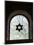Jewish New Temple Synagogue and Museum, Sarajevo, Bosnia & Hercegovina-Walter Bibikow-Mounted Photographic Print