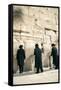 Jewish Orthodox Men Pray at Western Wall, Jerusalem, Israel-David Noyes-Framed Stretched Canvas