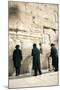 Jewish Orthodox Men Pray at Western Wall, Jerusalem, Israel-David Noyes-Mounted Photographic Print