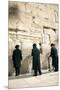 Jewish Orthodox Men Pray at Western Wall, Jerusalem, Israel-David Noyes-Mounted Premium Photographic Print