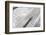 Jewish Torah Scroll with Pointer, Paris, France, Europe-Godong-Framed Photographic Print