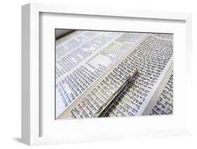 Jewish Torah Scroll with Pointer, Paris, France, Europe-Godong-Framed Photographic Print