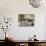 Jewish Women at the Wailing Wall, Jerusalem-null-Mounted Photographic Print displayed on a wall