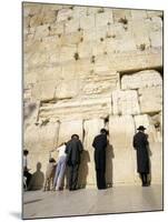 Jews Praying at the Western Wall, Jerusalem, Israel, Middle East-Adrian Neville-Mounted Photographic Print