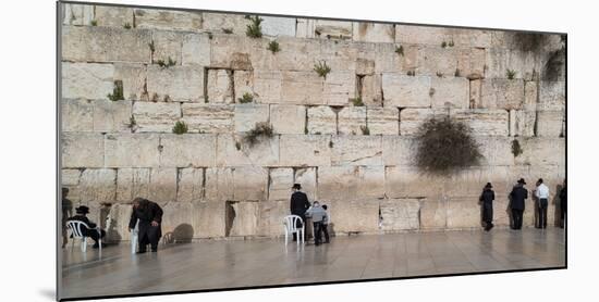 Jews praying at Western Wall, Jerusalem, Israel-null-Mounted Photographic Print