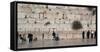 Jews praying at Western Wall, Jerusalem, Israel-null-Framed Stretched Canvas