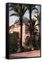 Jezzar Pasha Mosque, Acre, Palestine, C1930S-Donald Mcleish-Framed Stretched Canvas