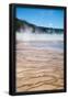 Essential Black