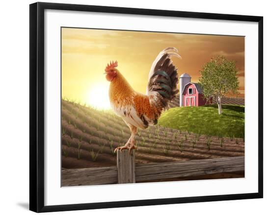 Premium Photographic Print, , large