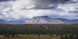 Wrangell-St. Elias National Park landscape from the Willow Lake, UNESCO World Heritage Site, Alaska-JIA JIAHE-Photographic Print