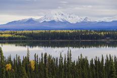 Mountain and forest landscape in Denali National Park, Alaska, United States of America, North Amer-JIA JIAHE-Photographic Print