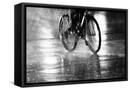 Framed Canvas