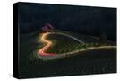 Stretched Canvas