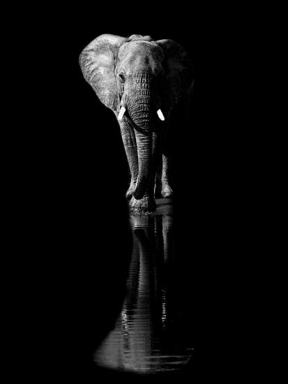 Photographic Print, , large