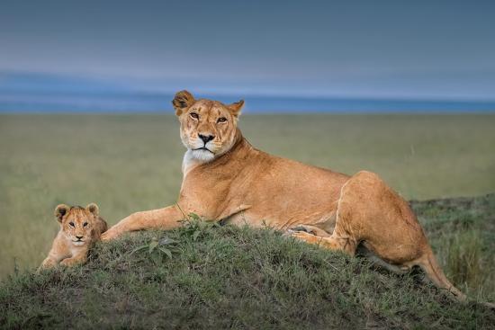 Photographic Print, , large
