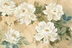 White Petals-Jil Wilcox-Stretched Canvas