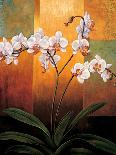 Orchid-Jill Deveraux-Art Print