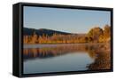 Canvas Black