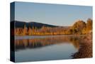 Stretched Canvas
